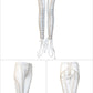 Lace up Gold Eyelets Pants