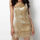 Fringed Sequin Feather Dress