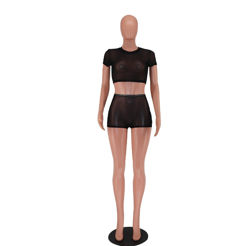 Black Sheer Mesh 2 Pcs Set