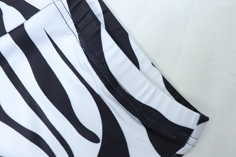 Zebra 2 Piece Set