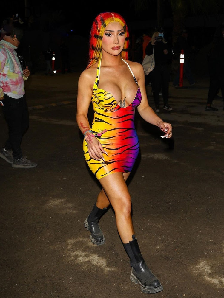 Tiger Pride Mini Dress