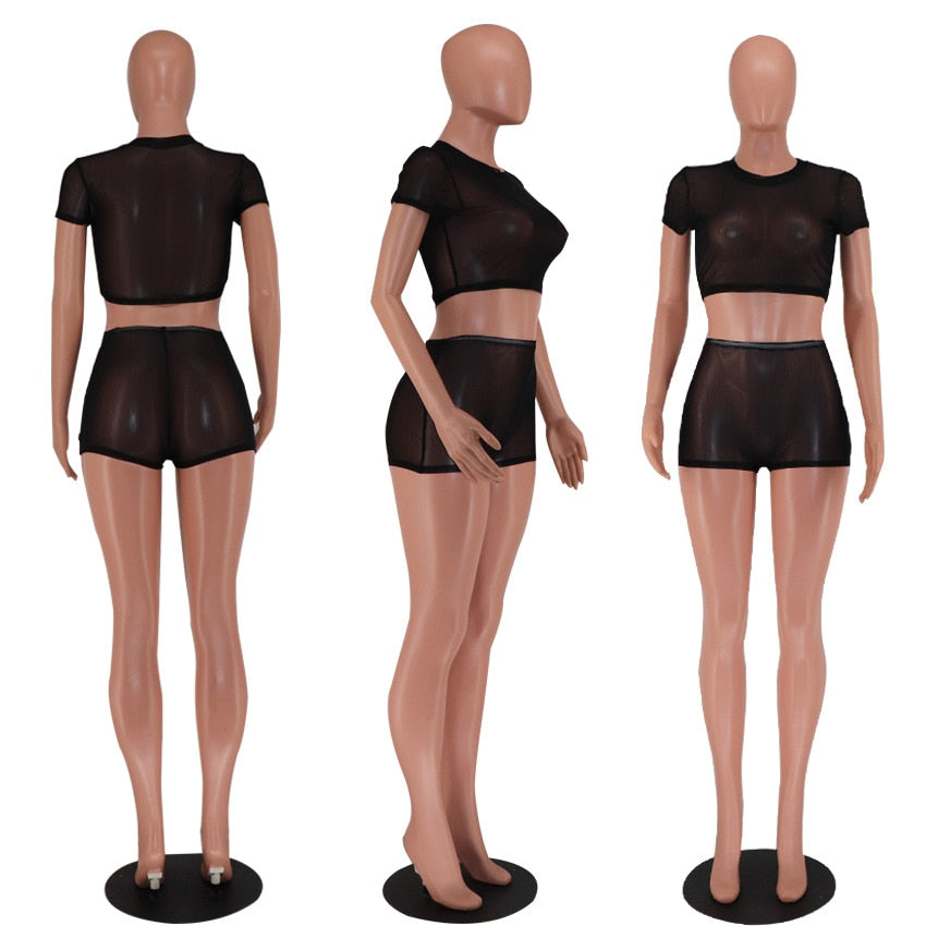 Black Sheer Mesh 2 Pcs Set