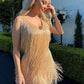 Fringed Sequin Feather Dress
