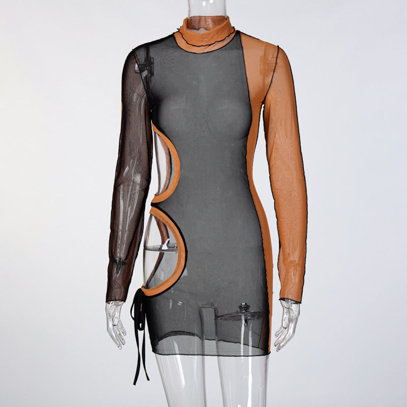 Mesh Bodycon Dress